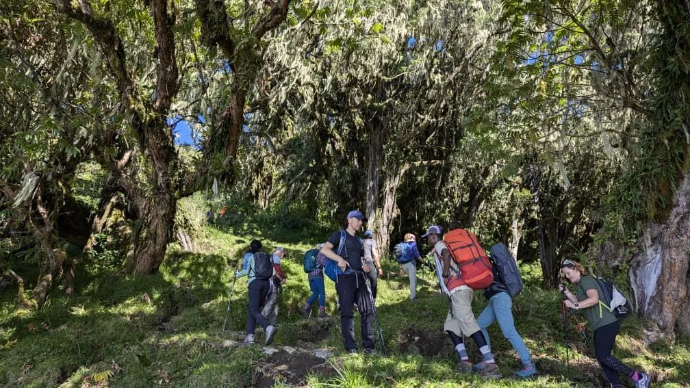 Mount Kilimanjaro trekking landscape